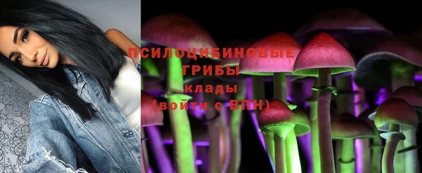 PSILOCYBIN Наволоки