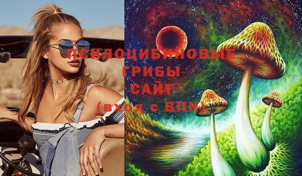 альфа пвп Надым