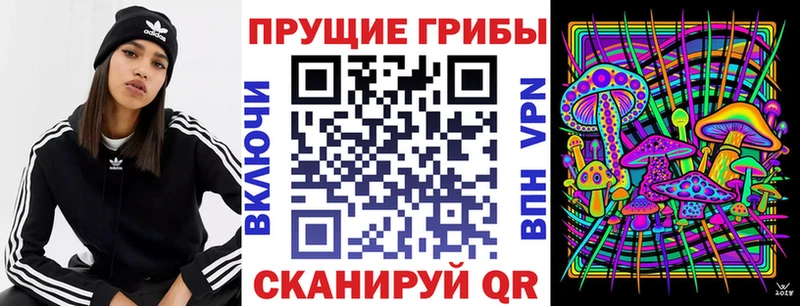 Галлюциногенные грибы мицелий  kraken маркетплейс  Пушкино 